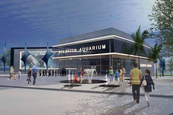 downtownclearwateraquarium2